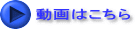 動画はこちら
